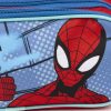 Spiderman 2-compartment pen holder