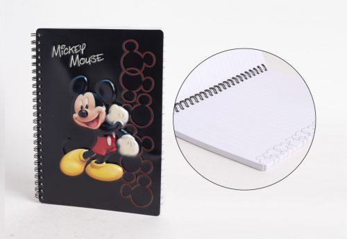 DISN.NOTESZ MICKEY