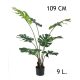 FILODENDRON 9LEV.+CS. 109CM