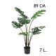 FILODENDRON 7LEV.+CS.  89CM