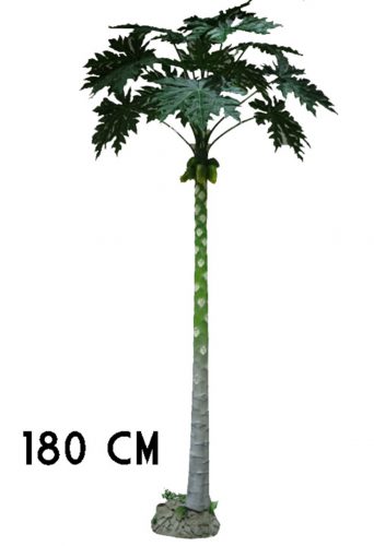 PAPAYA FA             180CM