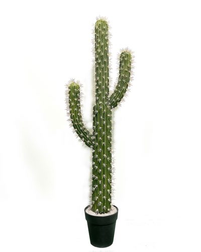 SAGUARO KAKTUSZ*3  34*120CM