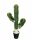 SAGUARO KAKTUSZ     32*65CM