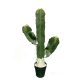 SAGUARO KAKTUSZ     32*65CM