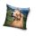 Dog pillow cover 40x40 cm